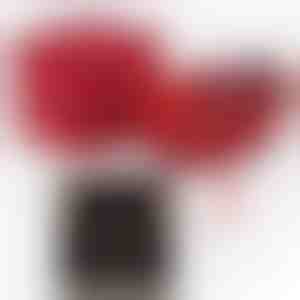 Από σύζυγος σε σύζυγο | ALAYA_CLOVERIE_APPLEROSE