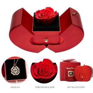 Κολιέ τριφύλλι 2 σε 1 και κουτί δώρου | CLOVERIE_APPLEROSE